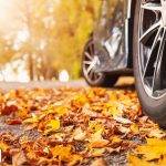 Learn to drive in Essex with System Driving School