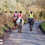 Don't horse about with cars