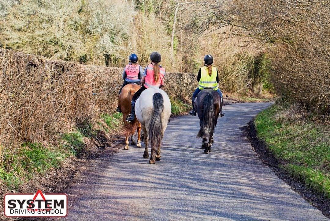 Don't horse about Don't horse about with cars