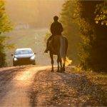 Learn to drive in Essex with System Driving School